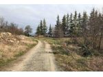 Immobile in asta di 1860 m² in vendita a Gazzola