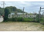 Terreno in vendita a Massa - Rif. 3559520