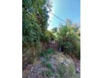 Uliveto in vendita a Vezzano Ligure