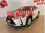 LEXUS UX 250h UX Hybrid Business rif. 24094153