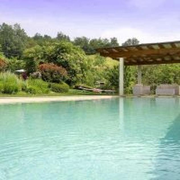 Sambuco innamorato - Foto 2