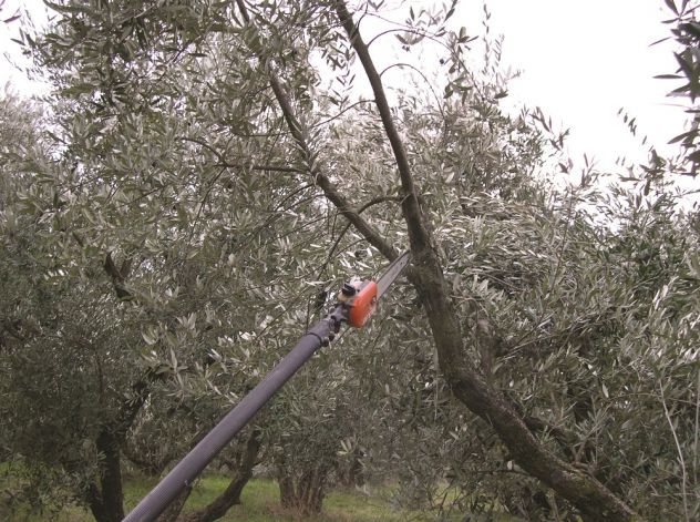 Servizi di agricoltura e giardinaggio - Foto 5