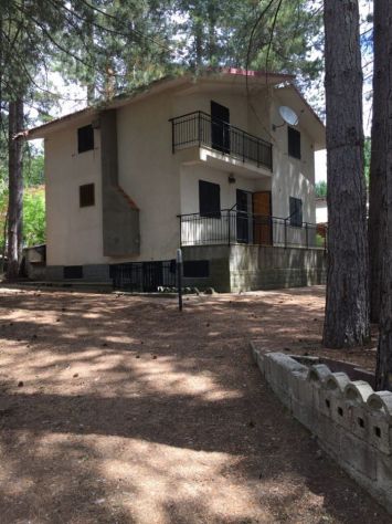Casa vacanze immersa nella Sila Trepido’ - Foto 3