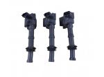 BOBINE ACCENSIONE PEUGEOT 208 Serie 9808653680 Benzina 1200 (19)