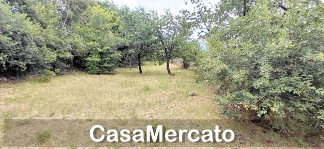 Agricolo in vendita a Rocca di Papa - Foto 11