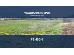 Immobile in asta di 12973 m² in vendita a Vigodarzere