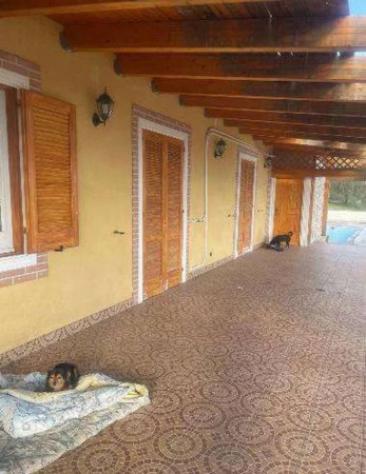 Immobile in asta di 205 m² con più di 5 locali in vendita a Roccarainola - Foto 6