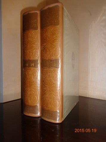 GRANDE DIZIONARIO ENCICLOPEDICO VTET - Foto 3