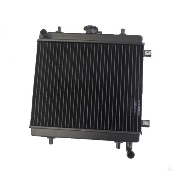 RADIATORE ACQUA GRECAV EKE LM4 LM5 SENZA TAPPO