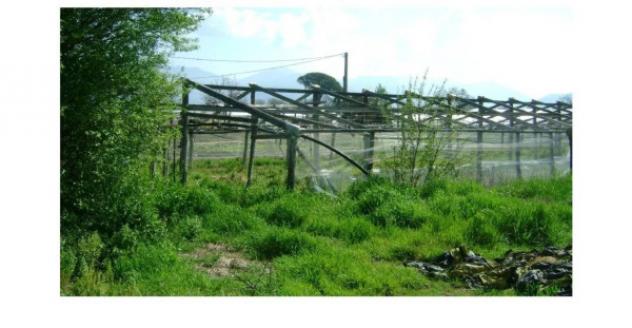 Immobile in asta di 5155 m² in vendita a Fondi - Foto 5