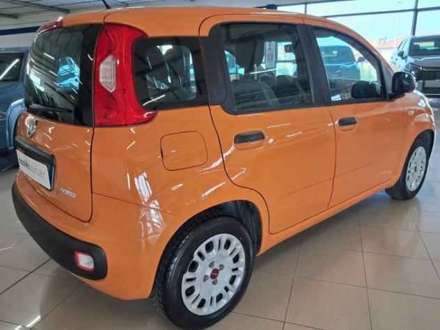 FIAT Panda 3ª serie 1.0 FireFly S&S Hybrid - Foto 4