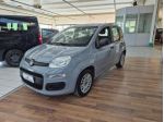 FIAT Panda 1.2 EasyPower Easy rif. 24065949