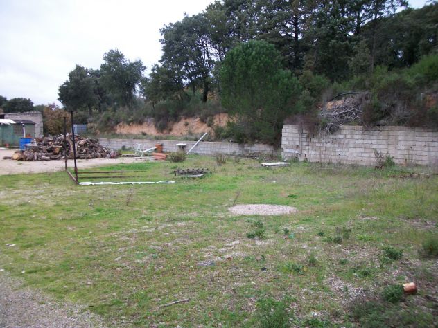 Magazzino capannone con terreno 1ha,2km da Calangianus,strada TempioCalangianus. - Foto 5