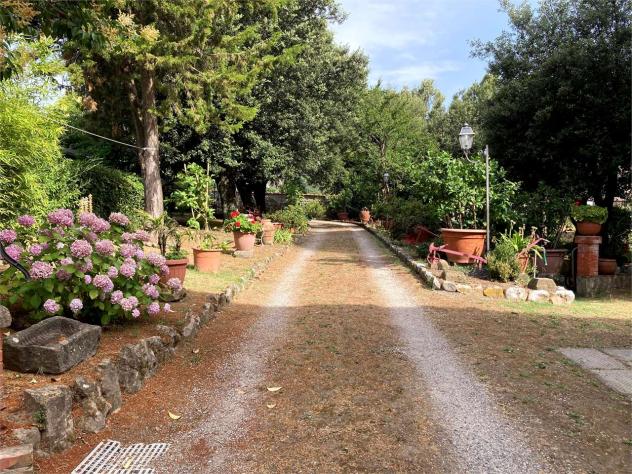 Villa pescia 850 - Villa a Pescia - Collodi - Foto 8