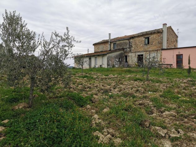 Terreno e casolare Città Sant'Angelo - Foto 3