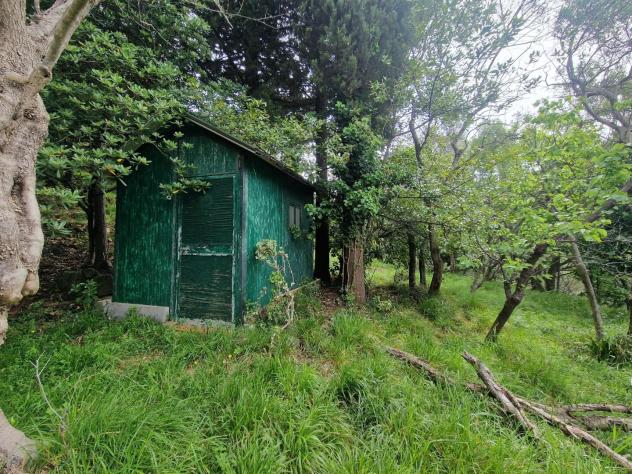 Terreno agricolo in vendita a Casano - Luni 2880 mq Rif: 1411360 - Foto 7