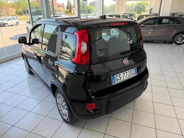 FIAT Panda 1.0 FireFly S&S Hybrid rif. 23751135 - Foto 3