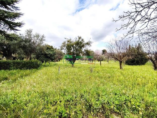 Rif: 2573 - Villa con ampio giardino e vista panoramica – Chiaramonte Gulfi - Foto 17