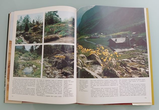 FLORA ALPINA Istituto Geografico De Agostini 1973 - Foto 4