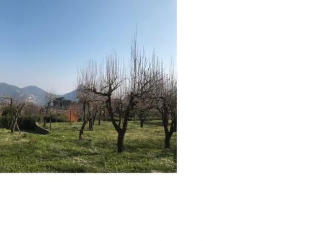 Agricolo in Via Cesinola - Foto 9