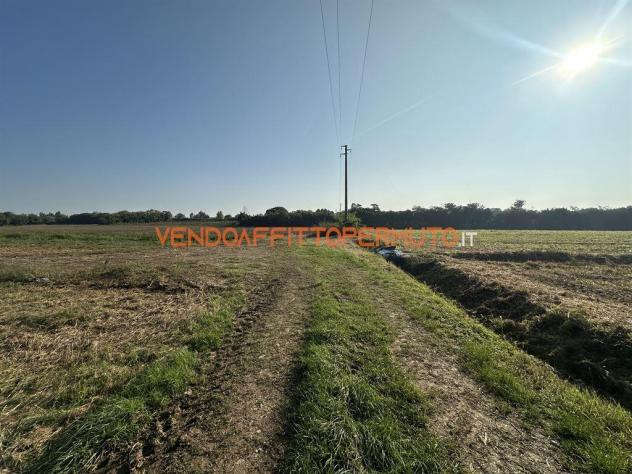 TERRENO AGRICOLO 4.400MQ - Foto 13