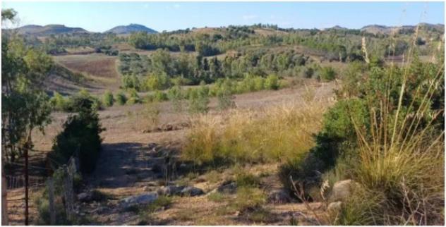 Immobile in asta di 6415 m² in vendita a Serrenti - Foto 4
