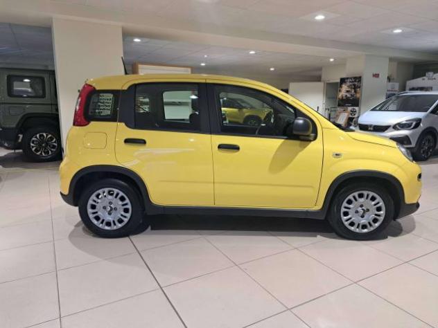 Fiat Panda Pandina III 2024 Pandina 1.0 firefly hybrid s - Foto 5