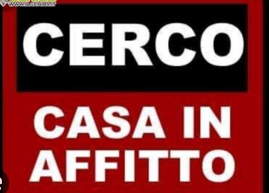 Cercasi appartamento in affitto