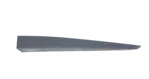 MODANATURA PORTA ANT DX RENAULT Clio Serie IV 801865598R (1219)