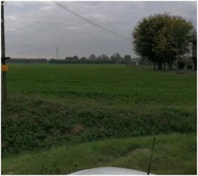 Immobile in asta di 156880 m² in vendita a Parma - Foto 4