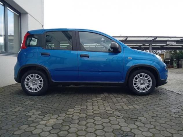 FIAT Panda 1.0 MILD HYBRID MANUALE PANDINA OK NEOPAT. KM ZERO rif. 23681683 - Foto 4
