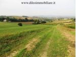 Azienda Agricola in vendita a Pesaro
