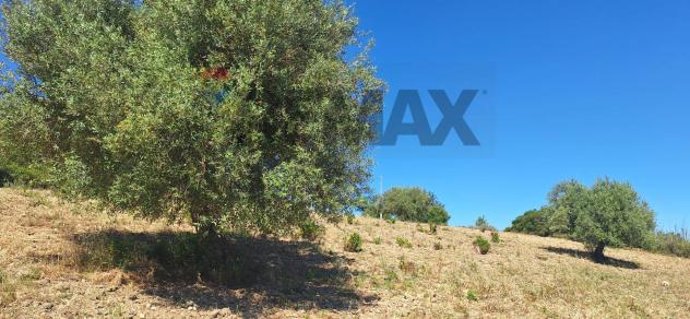 Terreno in vendita a Noto - Foto 2