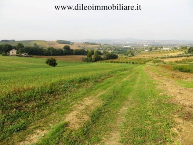 Agricolo in vendita a Pesaro - Foto 13