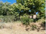 Colonica in vendita a Cavallano - Casole d'Elsa 300 mq  Rif: 1398789