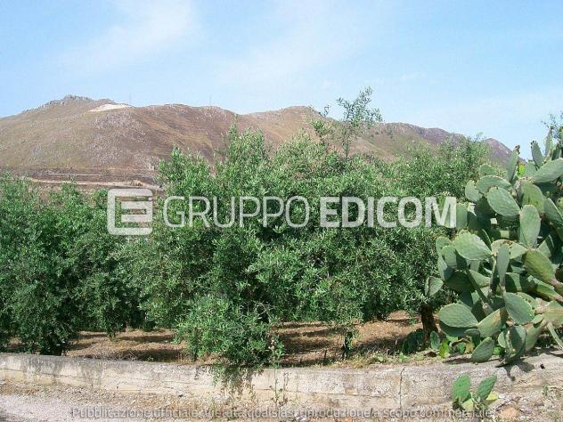 Terreno di 2234 mq in vendita a Belmonte Mezzagno - Rif. 4557340