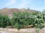 Terreno di 2234 mq  in vendita a Belmonte Mezzagno - Rif. 4557340