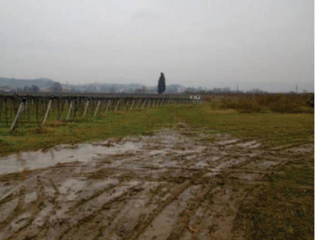 Immobile in asta di 42594 m² in vendita a Pescantina - Foto 4
