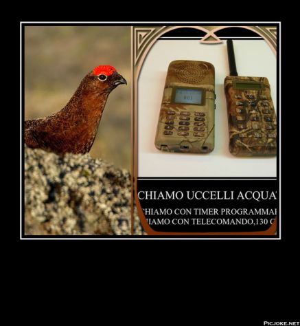 RICHIAMO X UCCELLI DOPPIO CANTO - Foto 5