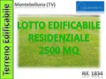1834 - Terreno edif. 2500 mq a Montebelluna (TV)Rif. 1834