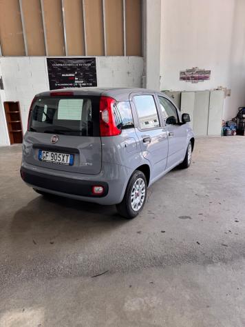 Fiat Panda 1.0 HYBRID - Foto 2