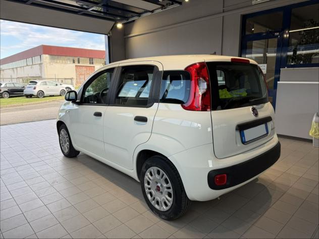 FIAT Panda 1.0 FireFly 70cv S&S Hybrid - Foto 3