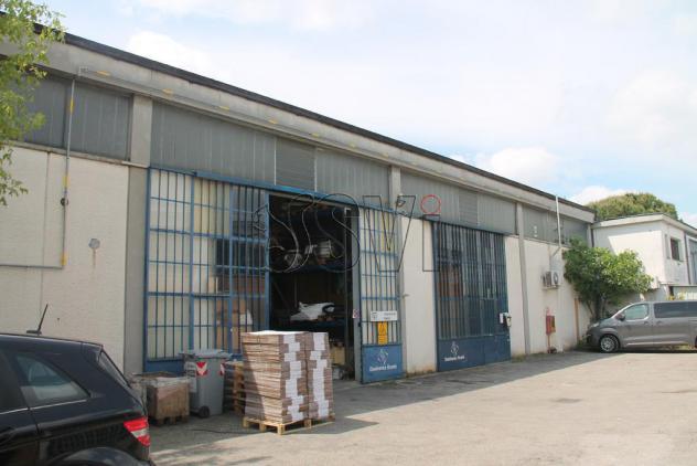 Capannone 1 locale - Rif. 891 - Foto 5