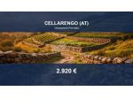 Immobile in asta di 5110 m² in vendita a Cellarengo