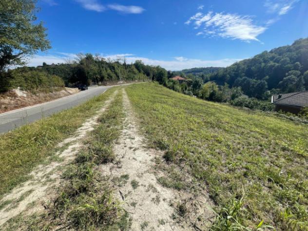 Terreno di 6000 m² in vendita a Pavarolo - Foto 3