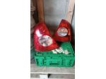 Fanale stop posteriore Renault Clio 2004