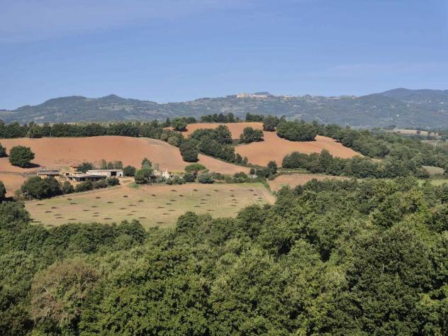 Seminativo in vendita a Civitella Paganico - Foto 3