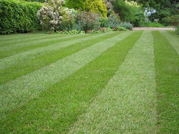 AGROTECNICO GIARDINIERE