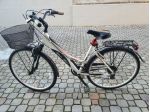 bici da trekking modello donna