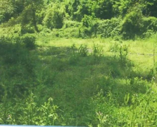Immobile in asta di 156406 m² in vendita a Abriola - Foto 4